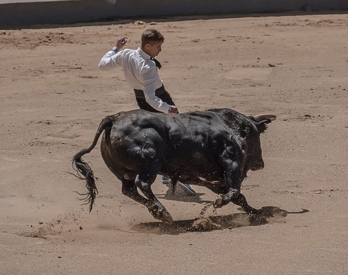 Toros en Madrid ShMadrid