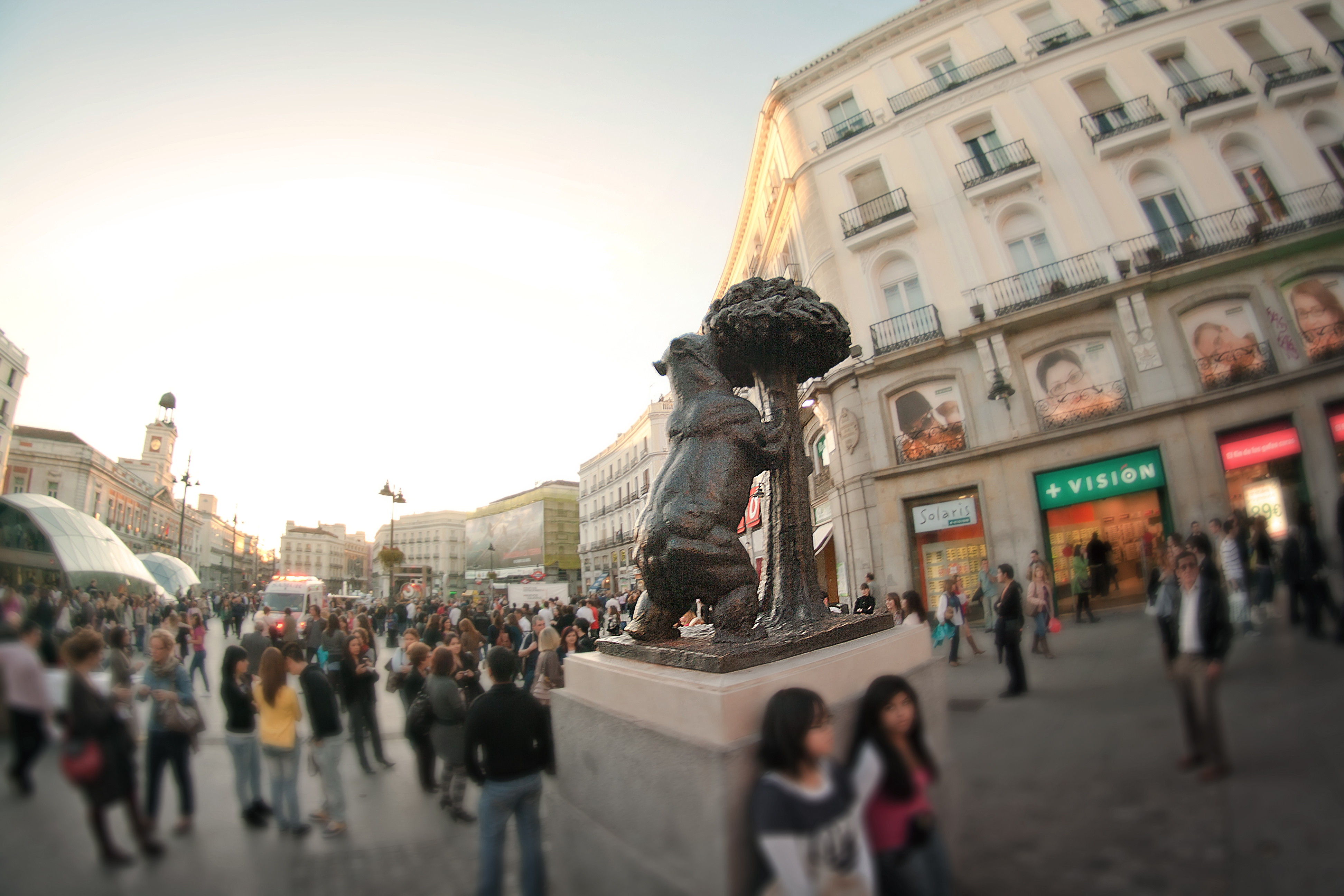 oso y el madroño madrid