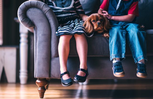 Imagen de unos niños y un perro sentados en un sofá