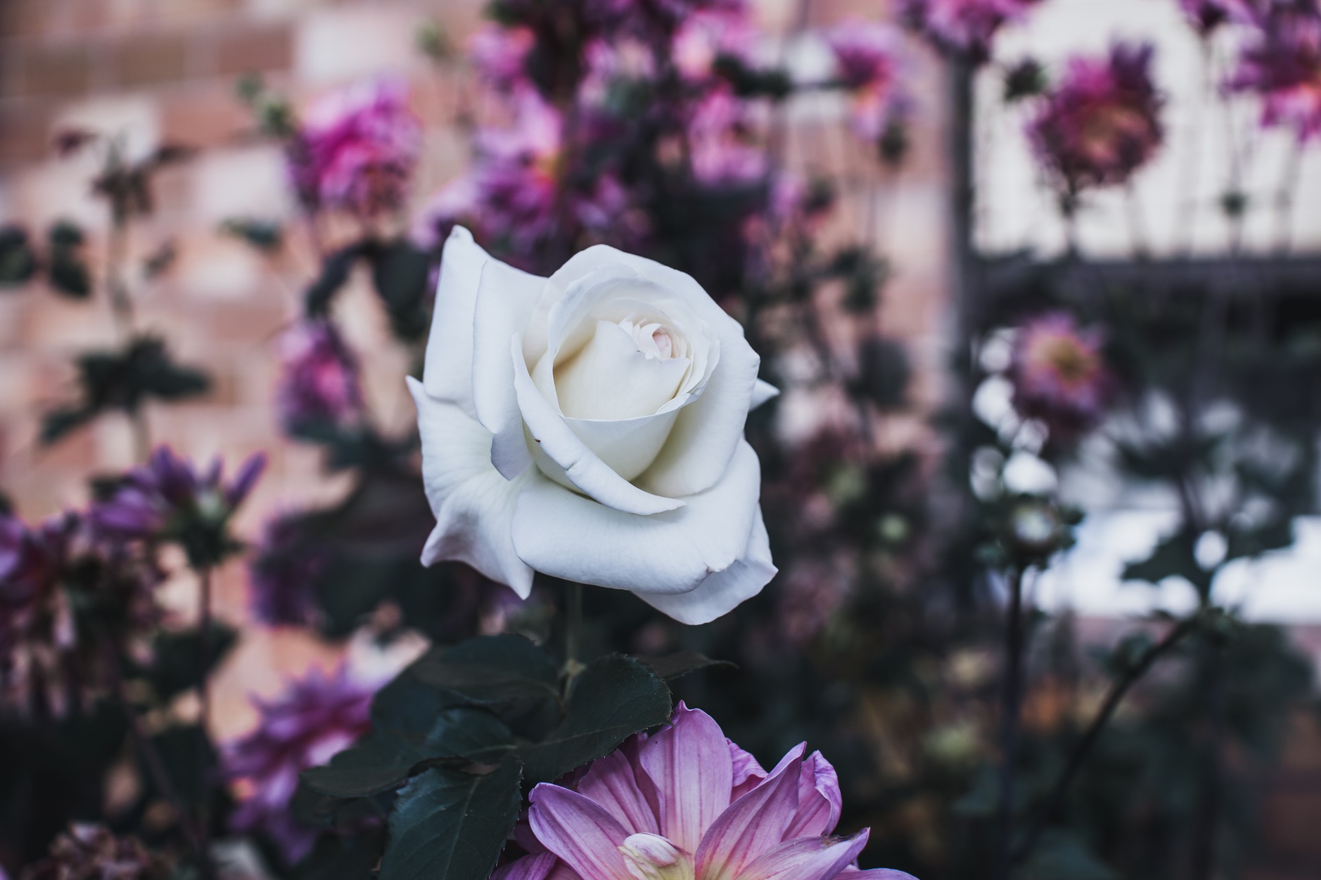 Disfruta de la primavera en Madrid ShMadrid