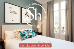 Alquilar piso en Madrid